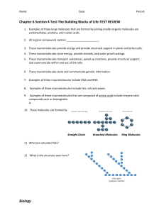 Biology Chapter 6 Section 4 Test-The Building Blocks of Life