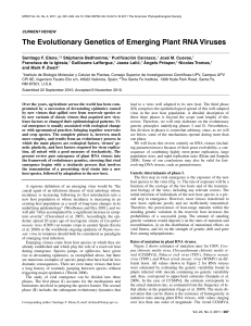 The Evolutionary Genetics of Emerging Plant RNA Viruses
