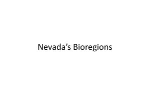 Nevada`s Bioregions
