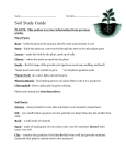 Soil Study Guide