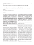 Defining the essential functional regions of the nucleoporin Nup145p