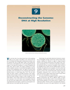 Deconstructing the Genome: DNA at High Resolution