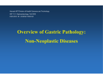 Overview of Gastric Pathology: Non