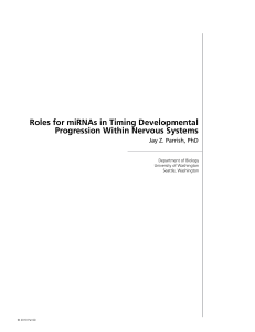 Roles for miRNAs in Timing Developmental Progression Within