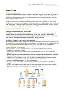 Yeast Extract