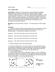 student worksheet