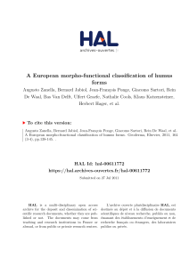 A European morpho-functional classification of humus forms