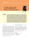 The effect of light intensity on the stomatal density of lavender