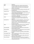 Genetics Vocabulary