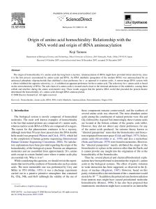 Origin of amino acid homochirality: Relationship with the RNA world