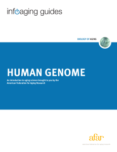 human genome - American Federation for Aging Research