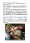 KIMBERLEY MAMMALS - Kimberley Society