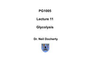 PG1005 Lecture 11 Glycolysis
