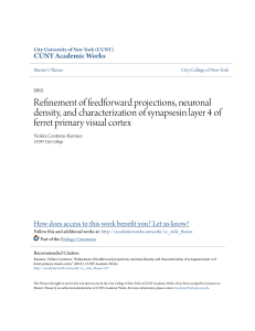 Refinement of feedforward projections, neuronal density, and