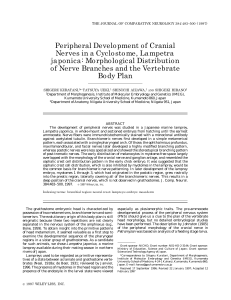 Peripheral Development of Cranial Nerves in a Cyclostome