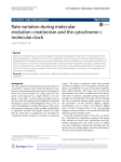 Rate variation during molecular evolution: creationism and the