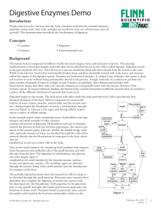 Digestive Enzymes Demo