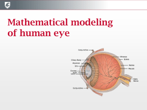 slides - WSU Department of Mathematics