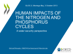 HUMAN IMPACTS OF THE NITROGEN AND PHOSPHORUS CYCLES