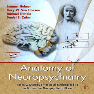 Anatomy of Neuropsychiatry : The New Anatomy of the