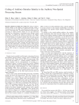 Coding of Auditory-Stimulus Identity in the Auditory Non