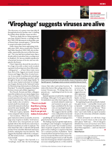 `Virophage` suggests viruses are alive
