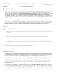 Respiratory System Worksheet