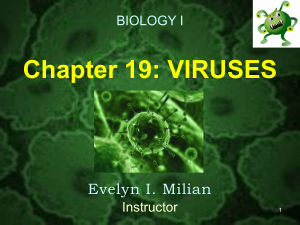 Chapter 19: VIRUSES