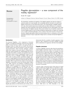 Flagellar glycosylation – a new component of the motility repertoire?