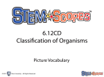 6.12CD Classification of Organisms