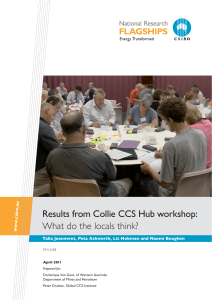 Results from Collie CCS Hub workshop: What do the locals think?