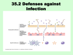 35.2 Defenses against Infection