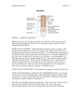 Woody Plants BI237 Week 10 FIGURE 1. ZONES OF THE ROOT