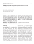 USP suppresses early metamorphic processes - Development