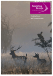 Guiding principles of Rewilding Europe 0811