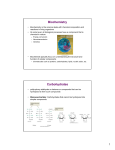 Biochemistry Carbohydrates