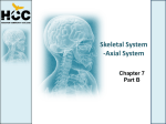Skeletal System -Axial System