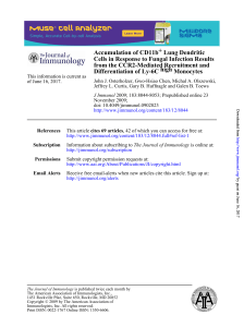 Monocytes high Differentiation of Ly-6C from the CCR2