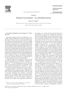 Stunned myocardium—an unfinished puzzle