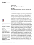 From Slow Viruses to Prions