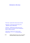PDF file of notes