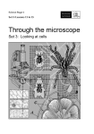 Through the microscope - NSW Department of Education
