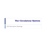 The Circulatory System