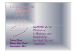 DigitalTaxonomicGuide [Compatibility Mode]