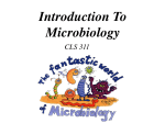 Introduction To Microbiology