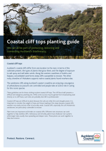 Cliff Tops - Auckland Council