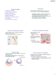 Cha. 16 Respiratory System