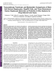 Transcriptional, Functional, and Mechanistic Comparisons of Stem