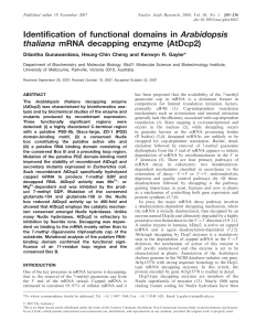 Identification of functional domains in Arabidopsis thaliana mRNA