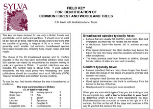 KEY FOR BROADLEAVED SPECIES